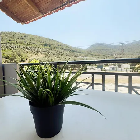 호텔 Maria's Skala Rachoni (Thasos)