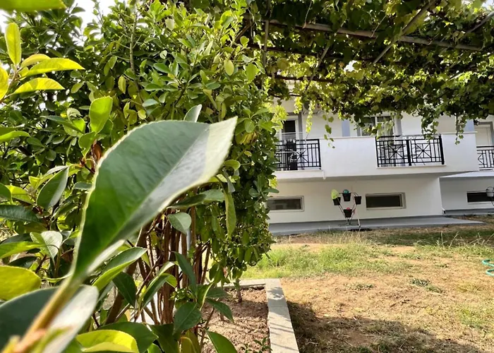 מלון Maria's Skala Rachoni (Thasos)